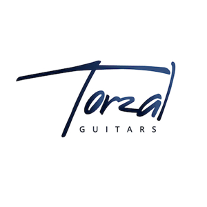 Torzal - Branding and Research